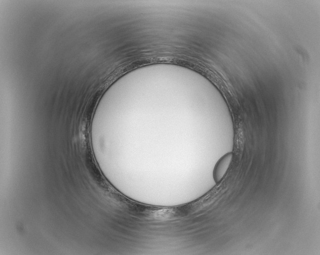 X0000116050122200911201051