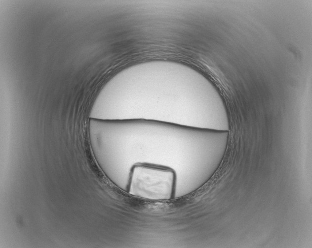 X0000116050125200911201051