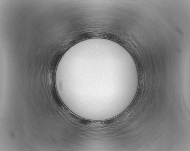 X0000116050131200911201051