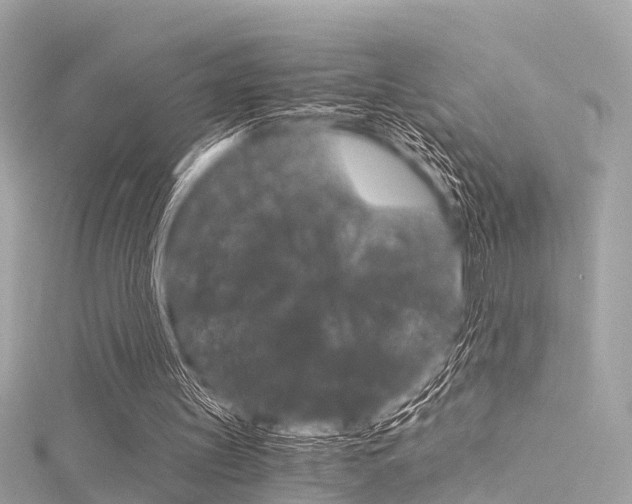 X0000116050147200911201050