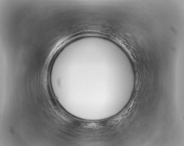 X0000116050151200911201050