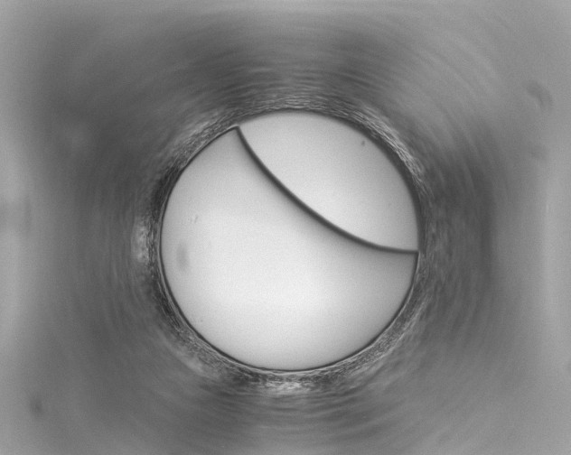 X0000116050161200911201050
