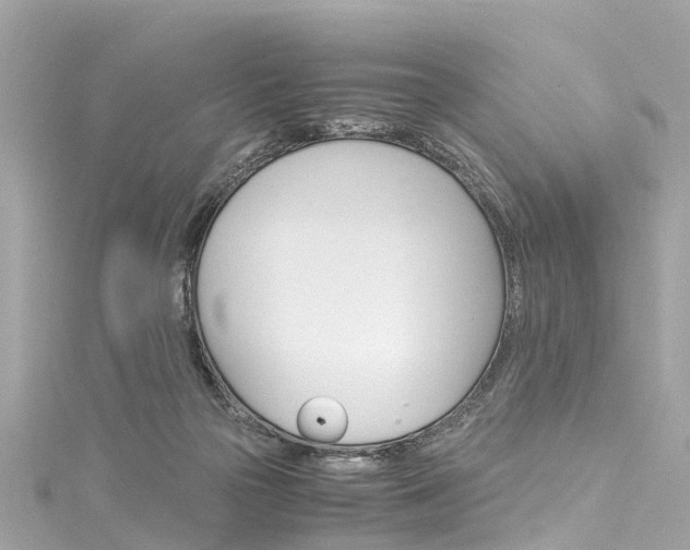 X0000116050169200911201050