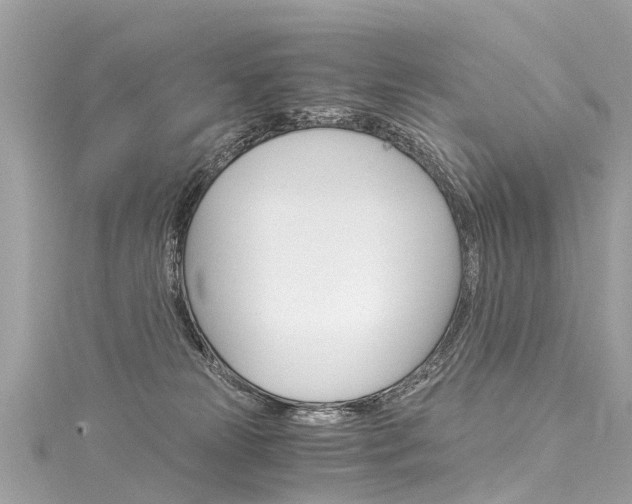 X0000116050181200911201050