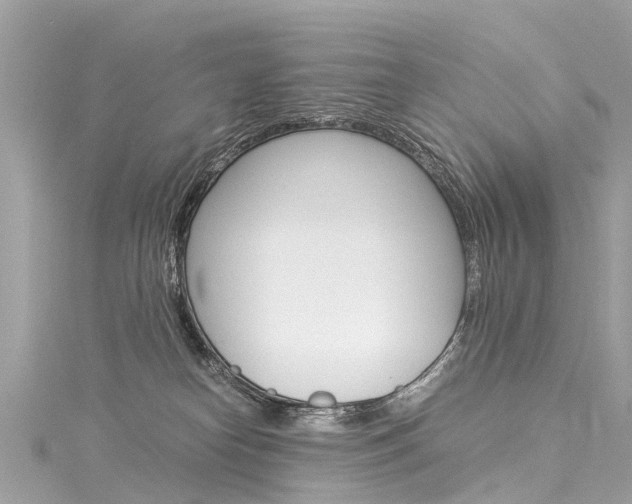 X0000116050182200911201050