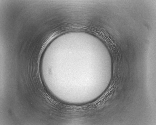 X0000116050195200911201050