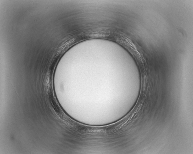 X0000116050202200911201050