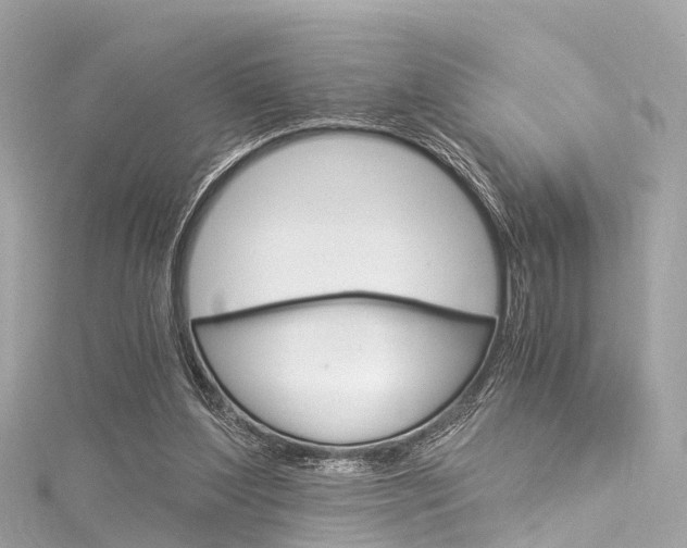 X0000116050204200911201050
