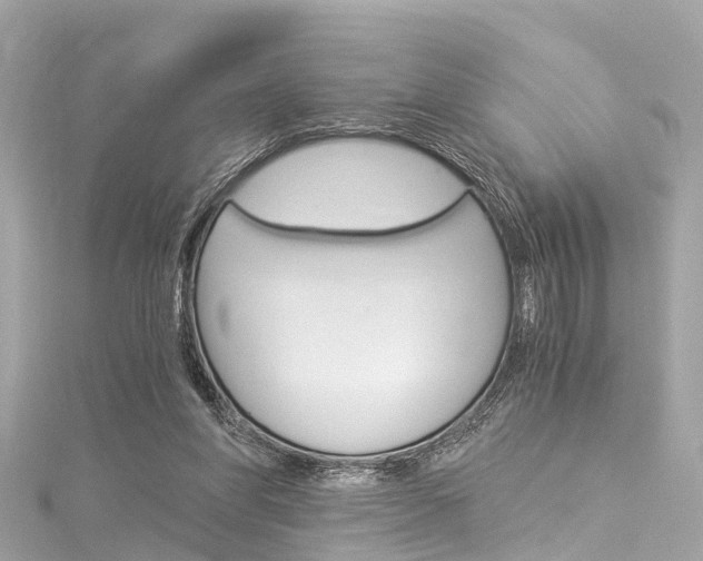 X0000116050206200911201050