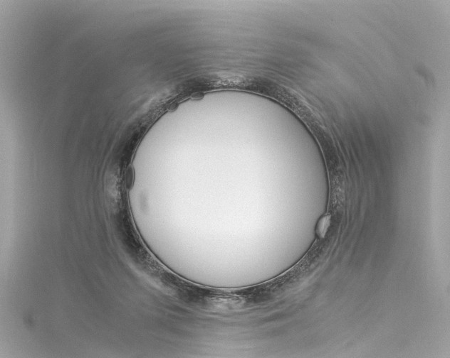X0000116050215200911201049