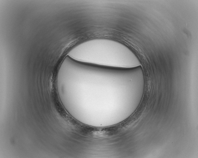 X0000116050216200911201049
