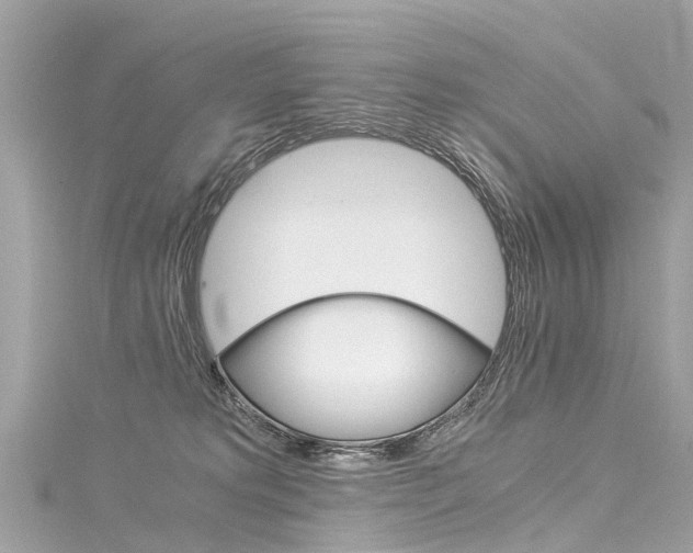 X0000116050229200911201049