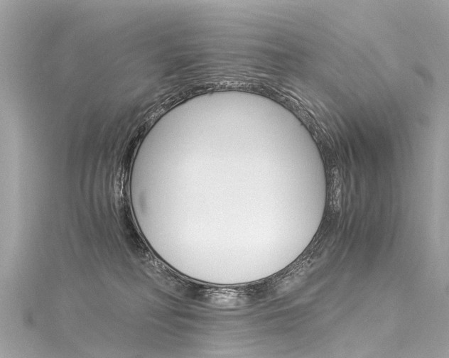 X0000116050230200911201049