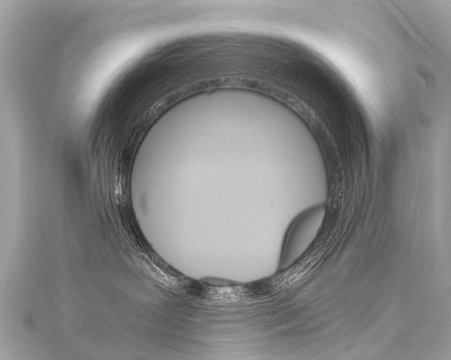 X0000116050239200911201049
