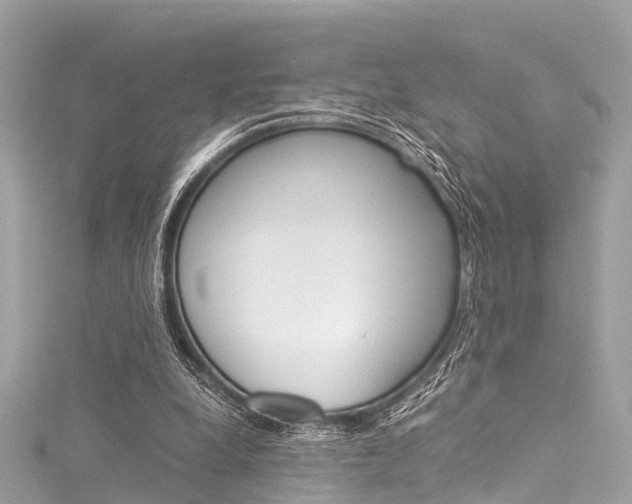 X0000116050248200911201048