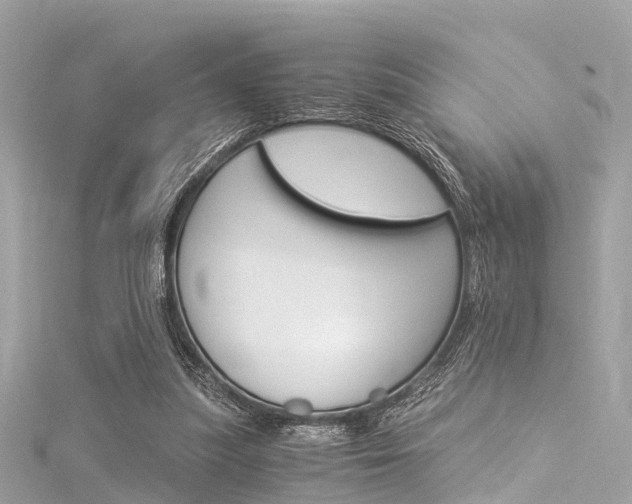 X0000116050251200911201049