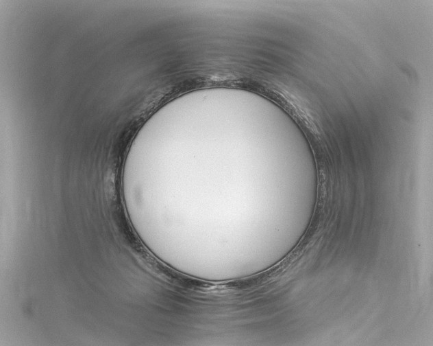 X0000116050269200911201049