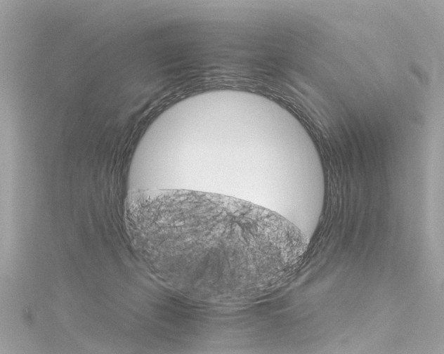 X0000116050271200911201049