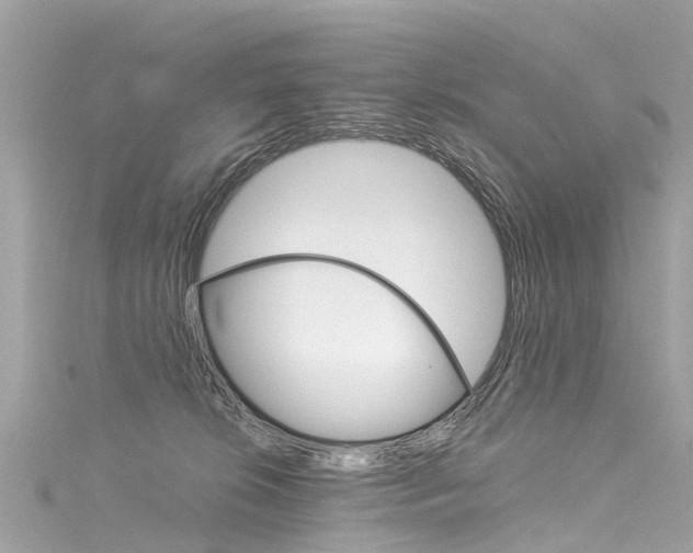 X0000116050276200911201049