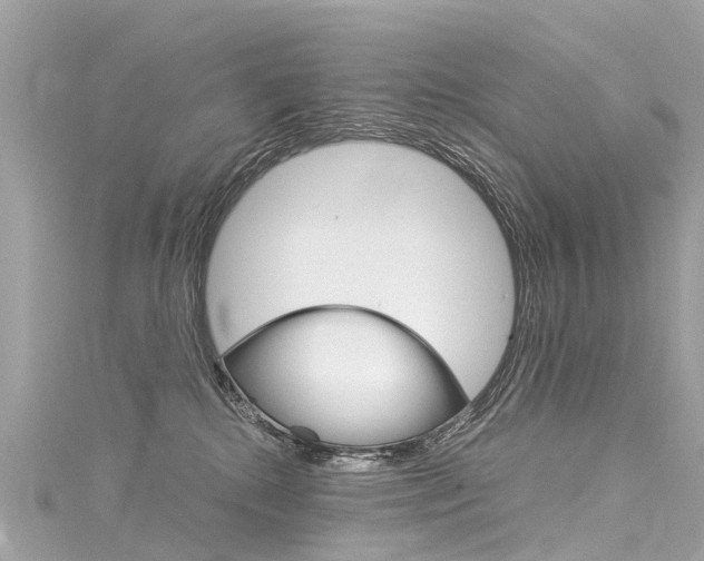 X0000116050280200911201049