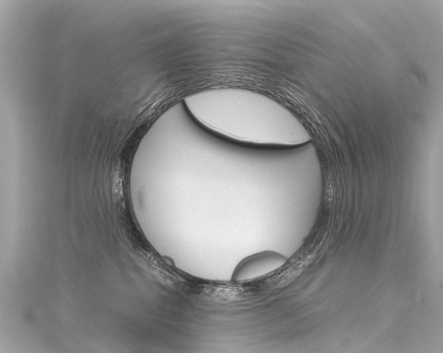 X0000116050282200911201049
