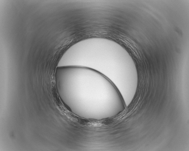 X0000116050284200911201049