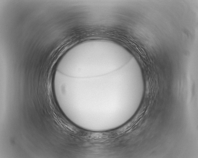 X0000116050290200911201048