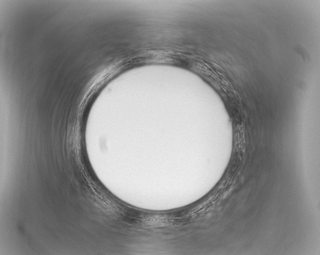 X0000116050293200911201048