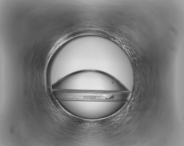 X0000116050296200911201048