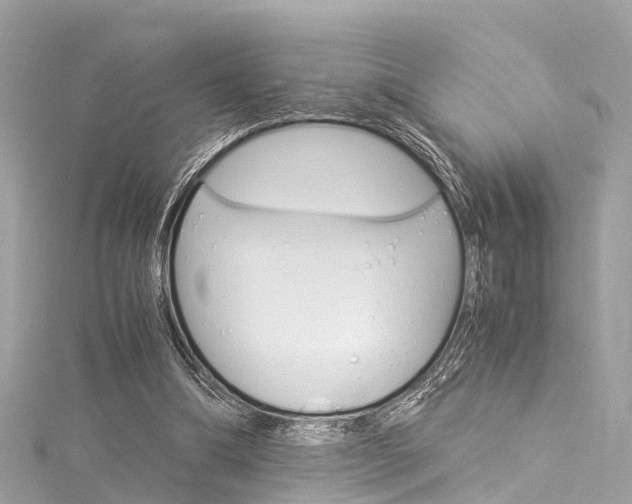 X0000116050298200911201048