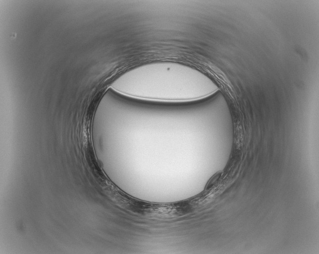 X0000116050329200911201048