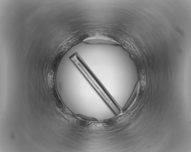 X0000116050332200911201048