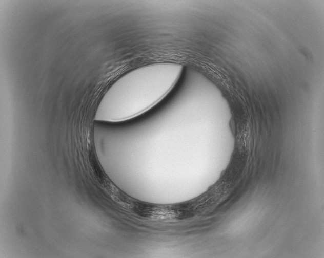 X0000116050335200911201048