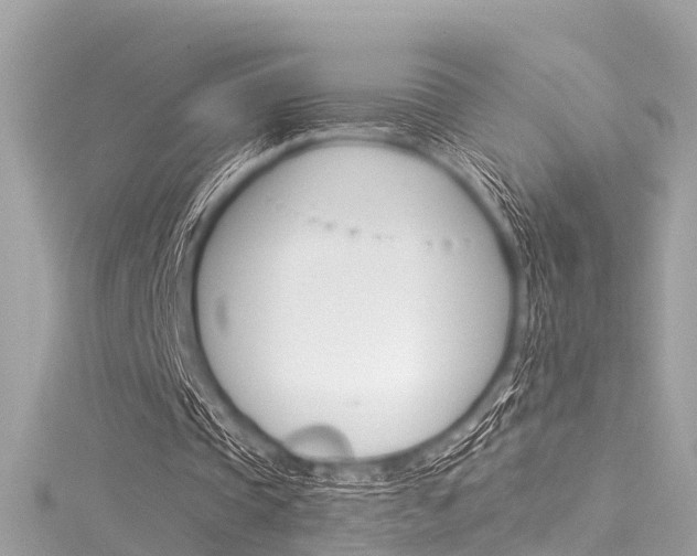 X0000116050337200911201047