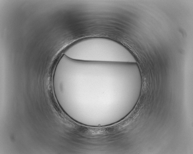 X0000116050351200911201047