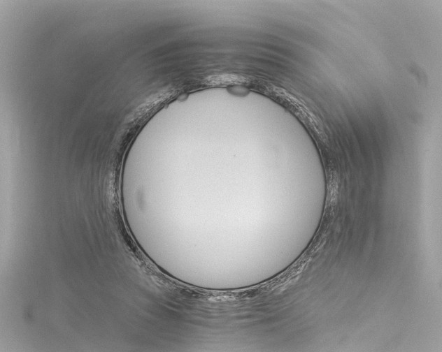 X0000116050353200911201047