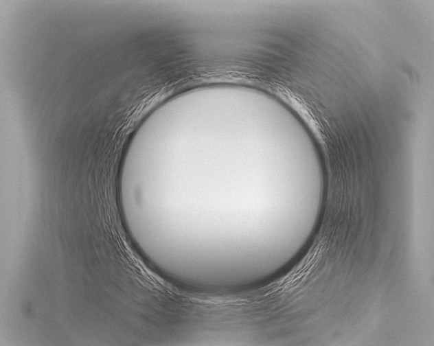 X0000116050385200911201047