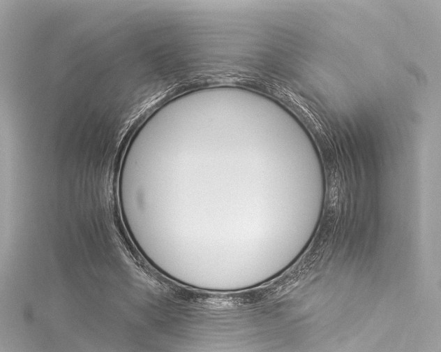 X0000116050394200911201047