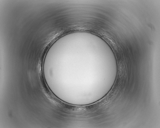 X0000116050398200911201047