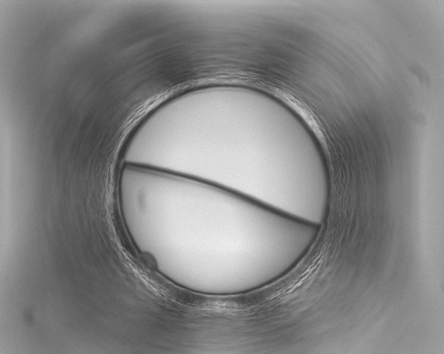 X0000116050437200911201046