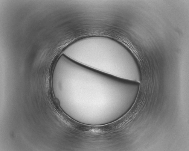 X0000116050441200911201046