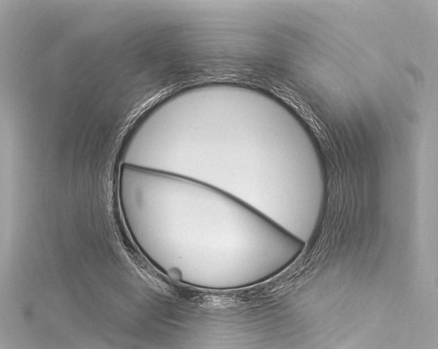 X0000116050442200911201046