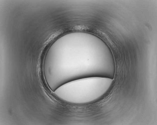 X0000116050443200911201046
