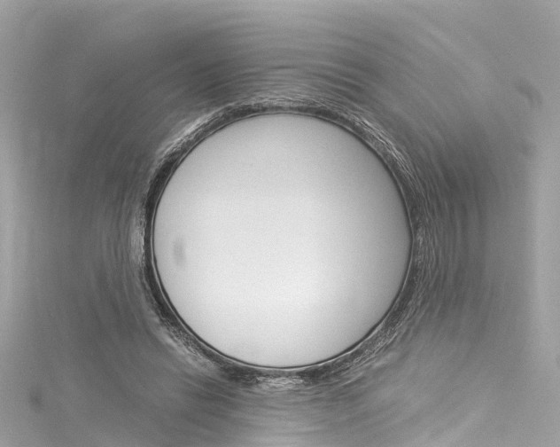 X0000116050446200911201046