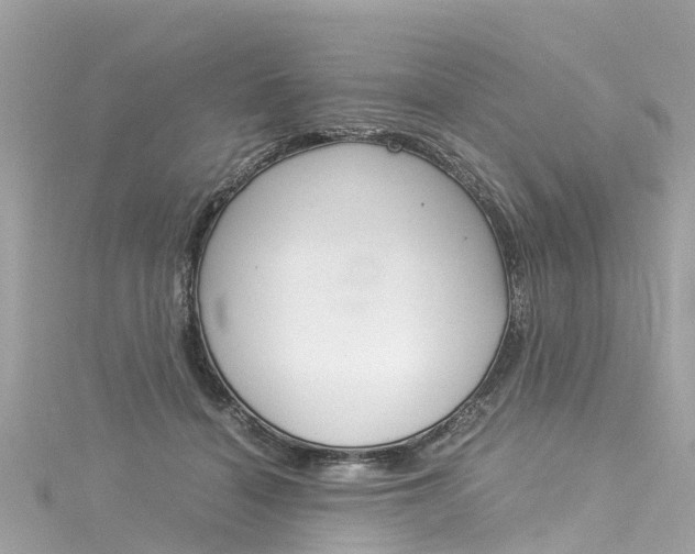 X0000116050460200911201046