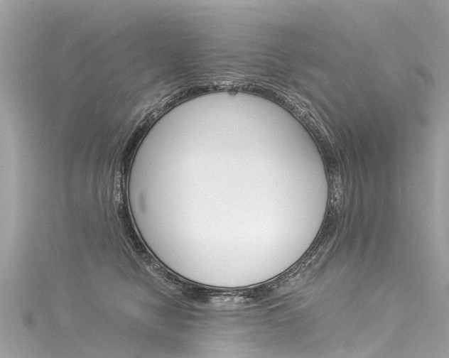 X0000116050470200911201046