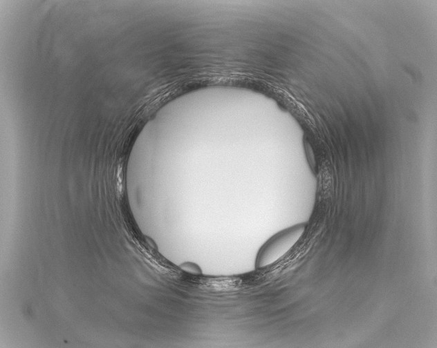 X0000116050479200911201047