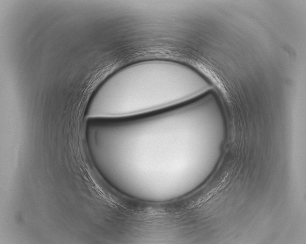 X0000116050481200911201046