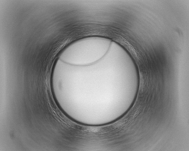 X0000116050482200911201046