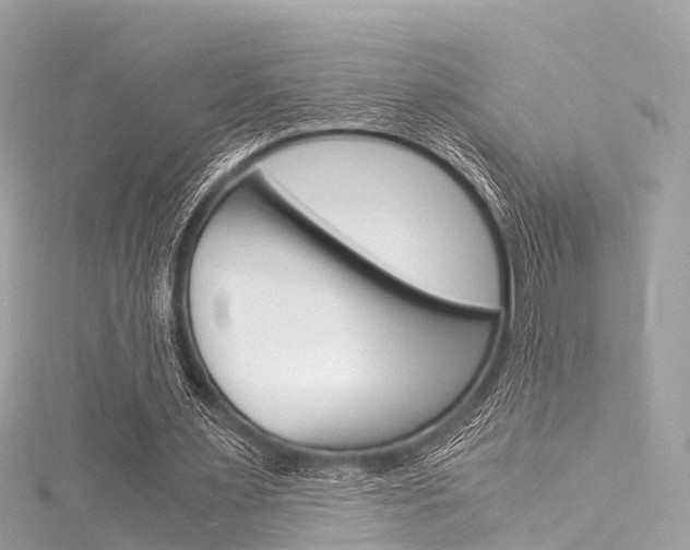 X0000116050483200911201046